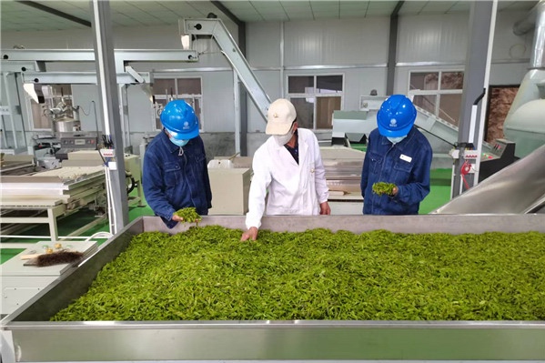 Food and agricultural drying Food and agricultural drying