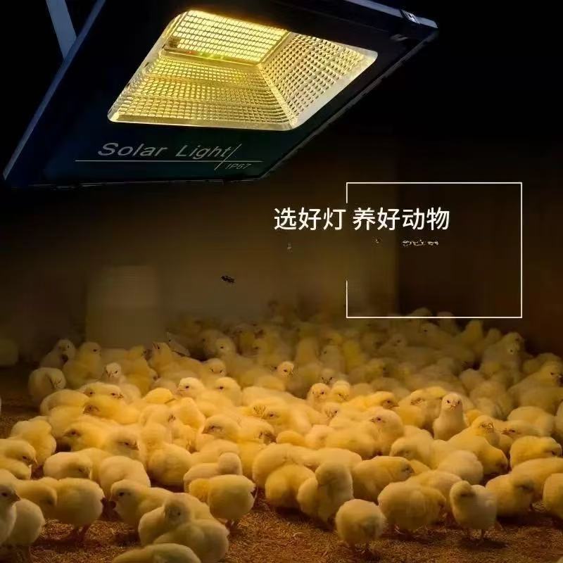 Infrared Heating Technology: Revolutionizing Energy Efficiency and Health Management in Animal Farming