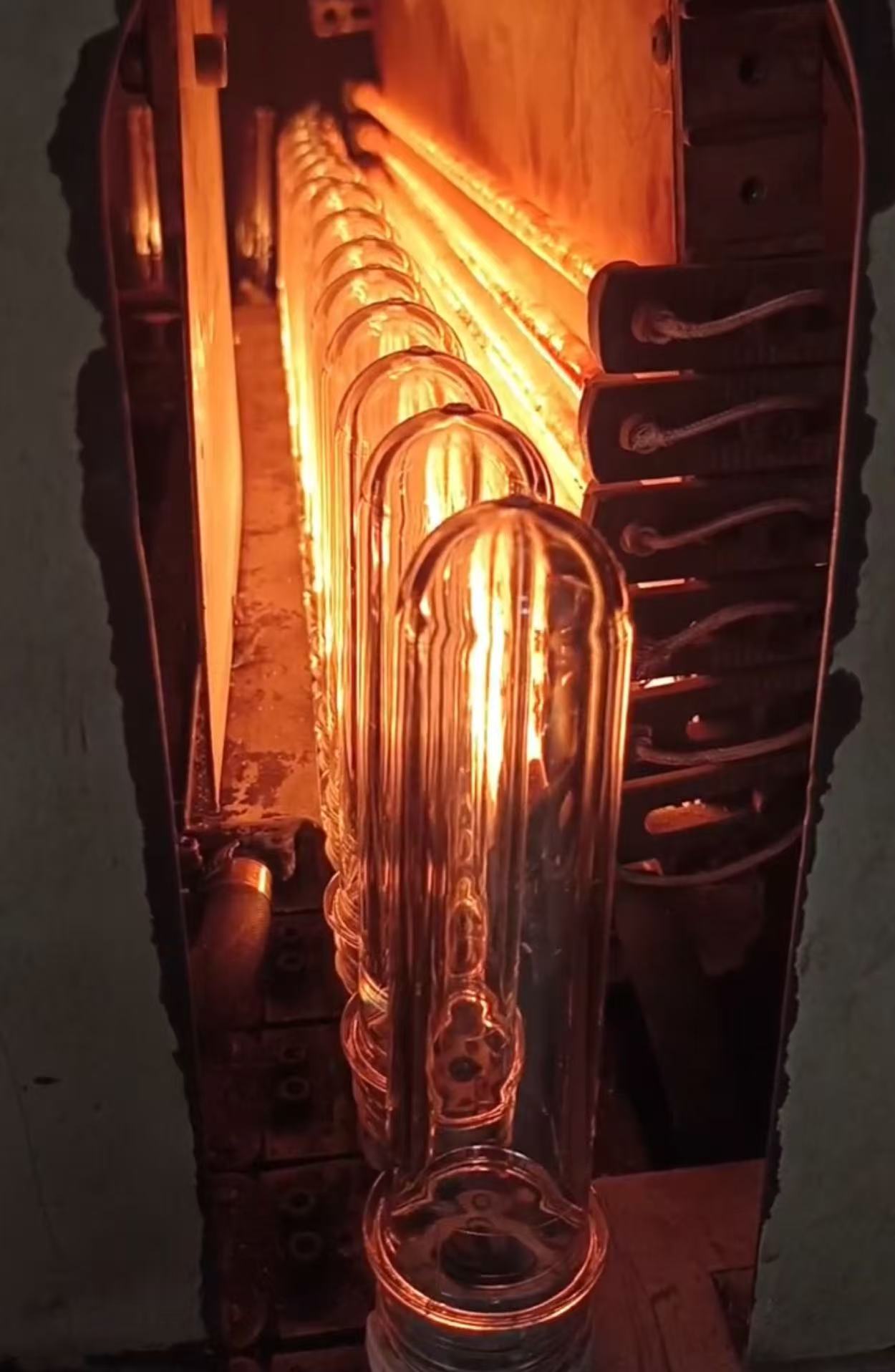 PET lamp