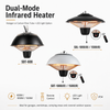 dual-mode infrared heater with LED light