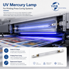 UV Mercury Lamps for Printing Press Curing Systems